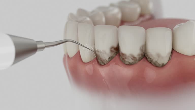 Reliable Emergency Dentist contractor in Newport News city County, VA by Dentist Open Now
